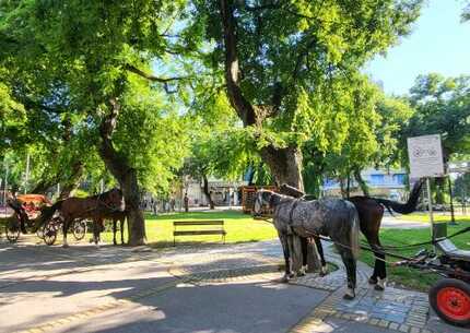 Sombor and the European Amazon – discover where culture meets wild nature.